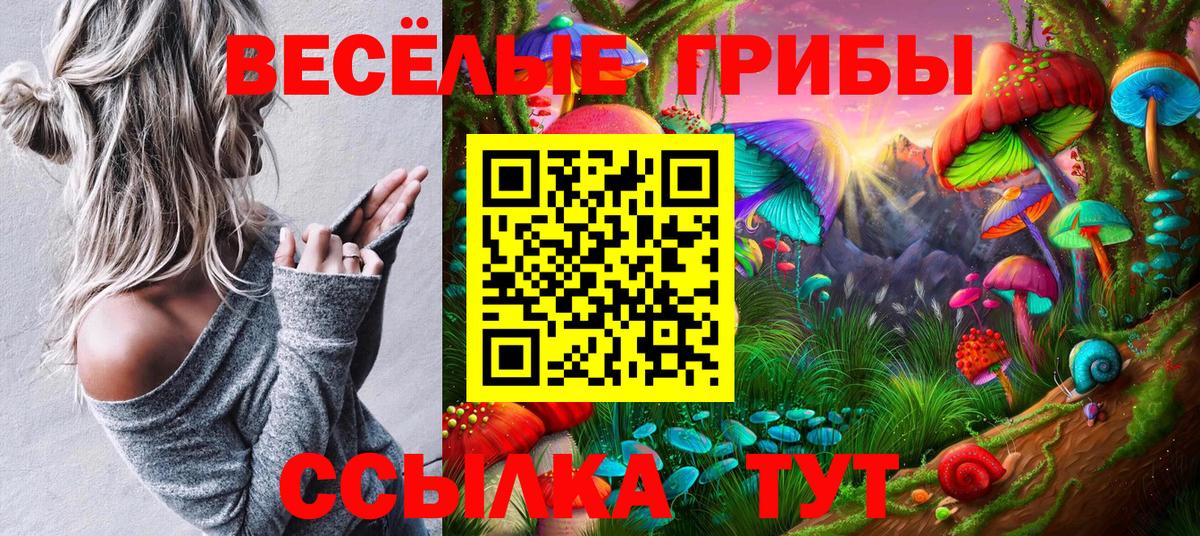 Галлюциногенные грибы Psilocybe  Вход с VPN  Галлюциногенные грибы Magic Shrooms  Рассказово 